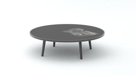 The Pictorial Table