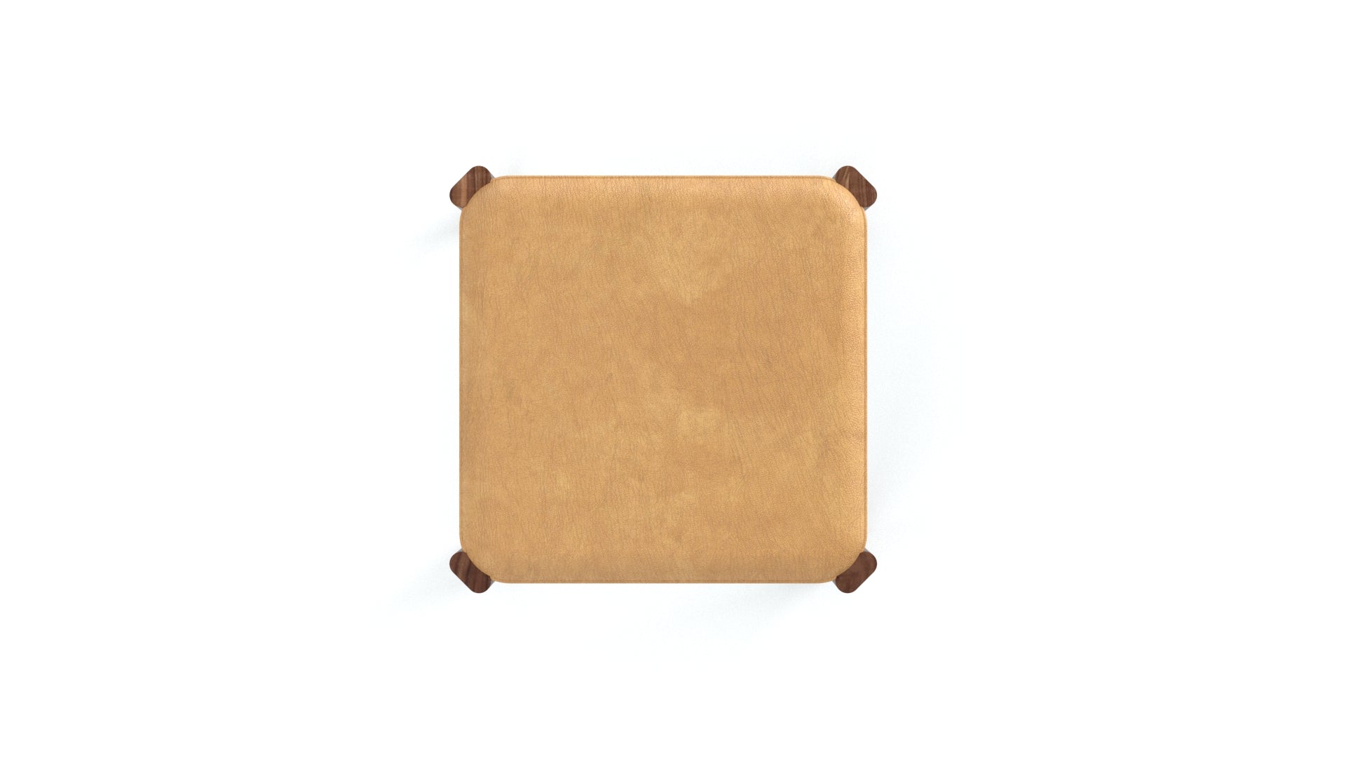 Cracker Biscuit