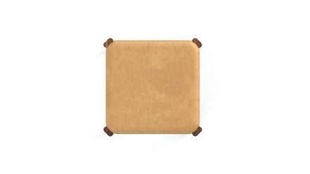 Cracker Biscuit